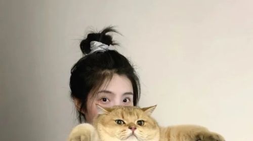 网站seo思维可以千变万化，不变的是网站seo优化基础