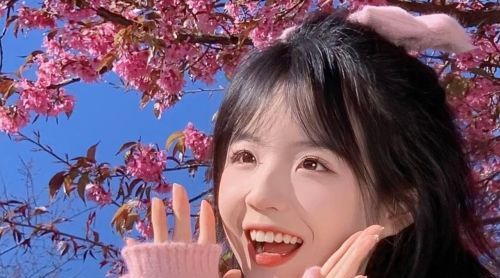 网站收录优化-SEO诊断服务-SEO方案制定-SEO顾问服务 - 专业建设网站的公司_微信登录平台