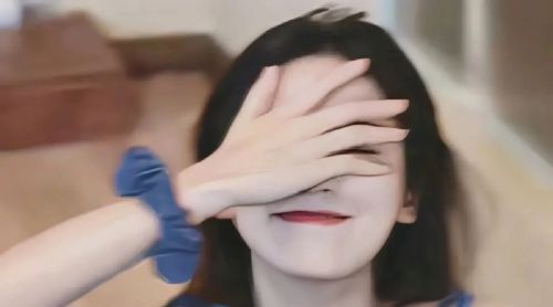 SEO优化和竞价之间有着明显的对比